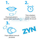 Pouch cu nicotinade 9 mg ZYN Spearmint Extra Strong