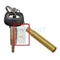 Injector manual Capsule (breloc)
