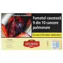 Tigari de Foi Guliwer Premium 48g (5)