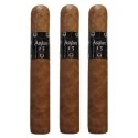 Trabucuri Asylum 13 Robusto (3)