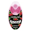 Recipient cu 100 de capsule pentru tigari cu aroma de cirese si menta RioTabak Cherry Mint