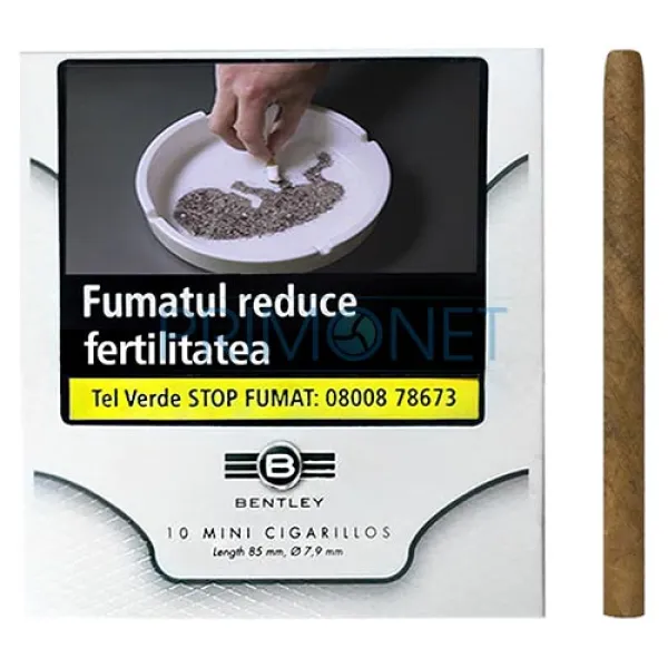 Tigari de foi Bentley Cigarillos 21g (10)