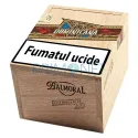Cutie cu 20 trabucuri Balmoral Puro Dominicana Petit Robusto cu invelis Republica Dominicana