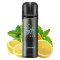 Pachet cu un cartus de unica folosinta Elf Bar ELFA Pro Lemon Mint cu aroma de lamaie si menta