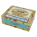 Trabucuri Paradiso Revelation Prophet in cutie din lemn cu 25 trabucuri cu invelis Ecuador Sumatra