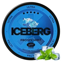 Pouch nicotina Iceberg Mini Frosty Mint (20 mg/pouch)