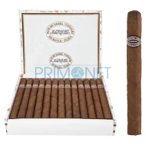Trabucuri Rafael Gonzalez Panetelas Extra (25)