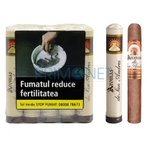 Trabucuri Aromas de San Andres Robusto Tub (20)