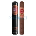 Trabucuri Capa Flor Robusto in pachet de 20 bucati ambalate in tub de pastrare