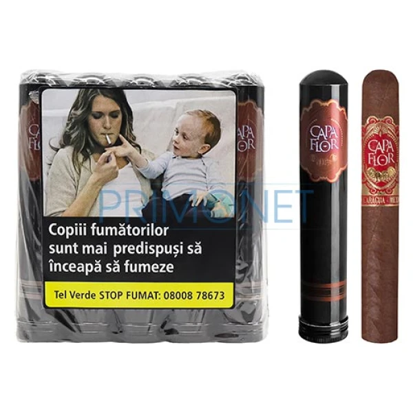 Trabucuri Capa Flor Robusto in pachet de 20 bucati ambalate in tub de pastrare