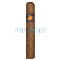 Trabucuri Villa Zamorano Robusto (15)